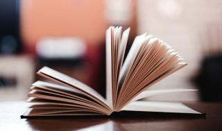 你一定要幸福电视剧