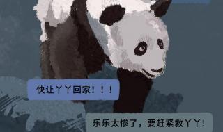 丫丫为什么送去美国