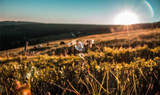 初升的太阳广播体操