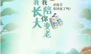 幼儿园重阳节文案