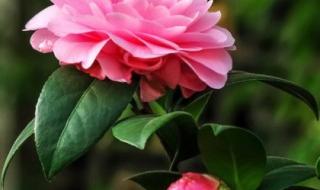 我的祝福你听见了吗