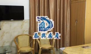 一室一厅出租500元