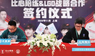 王者荣耀陪练平台