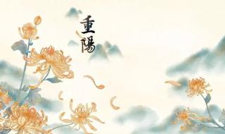 重阳诗句最好的十首