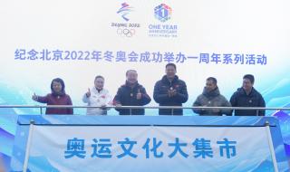 2022北京冬奥会徽章